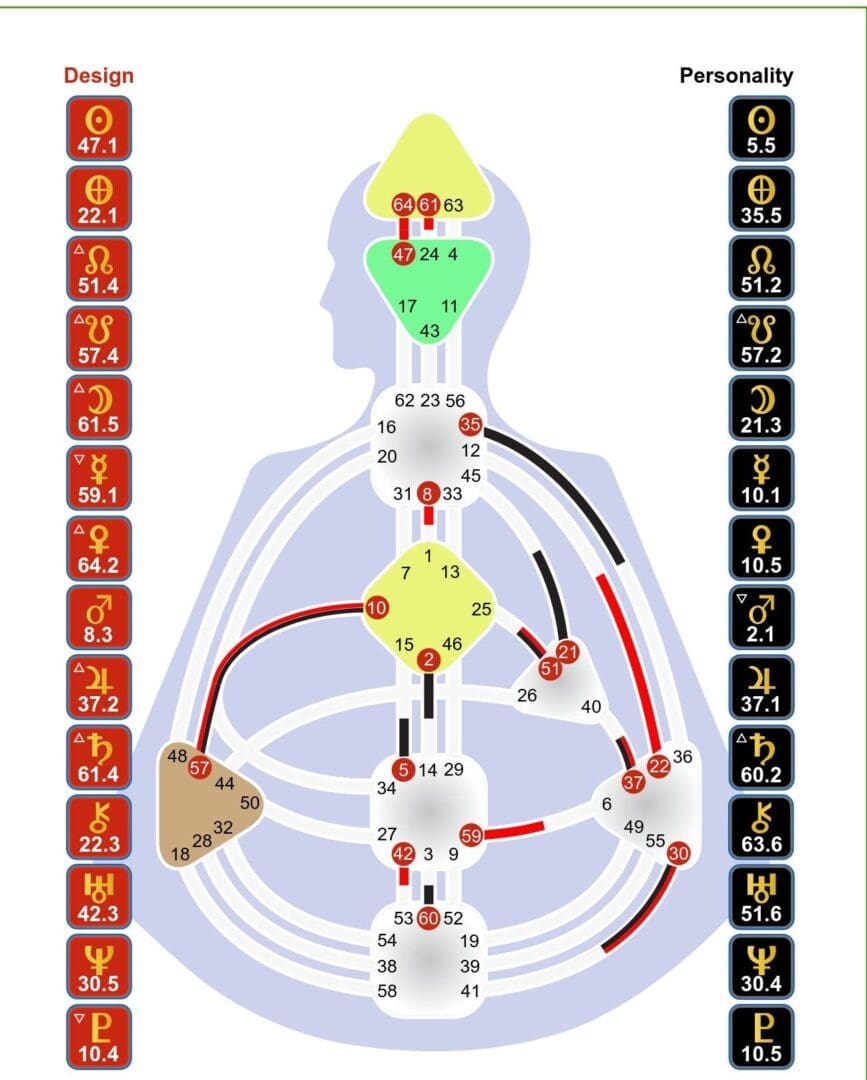 ExampleBodyChart